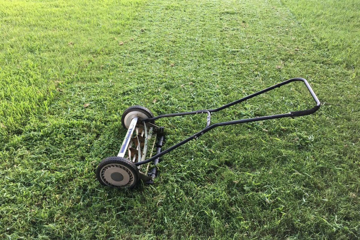 Gazon tondu avec une tondeuse à main